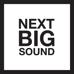Next Big Sound